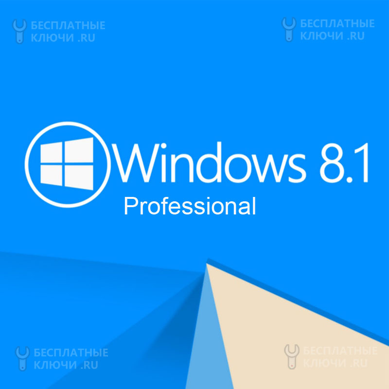windows 8.1 professional